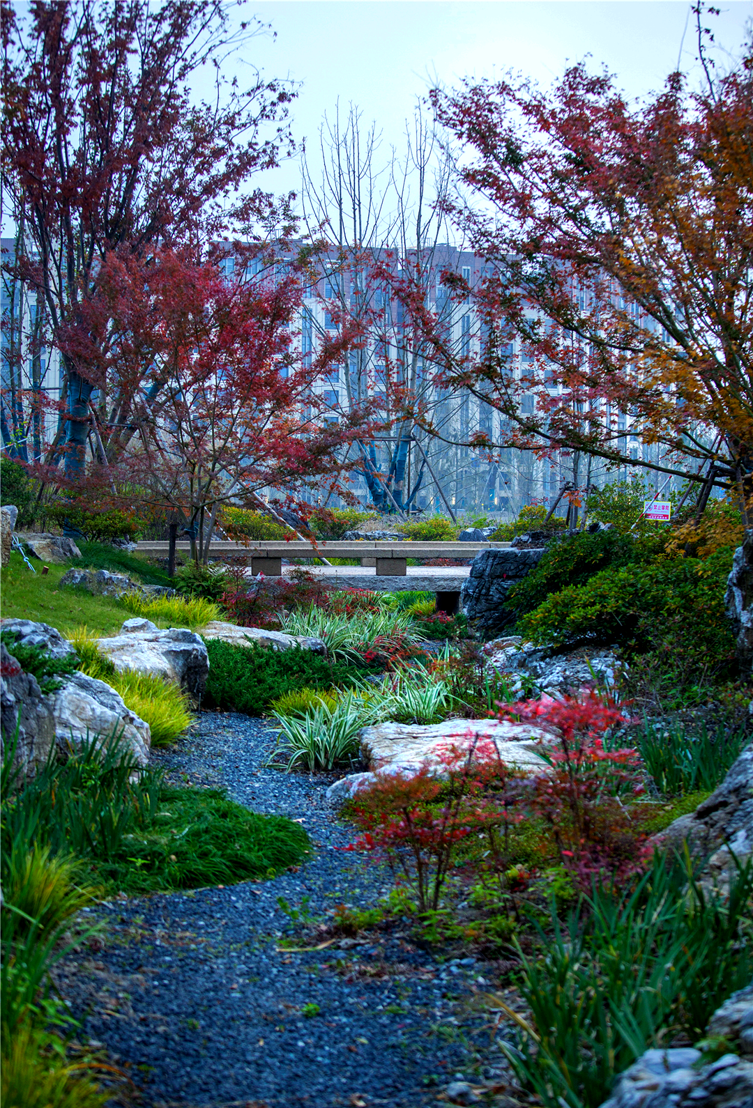 华建集团环境院打造三林楔形绿地"动之谷",展现多彩景观与运动活力