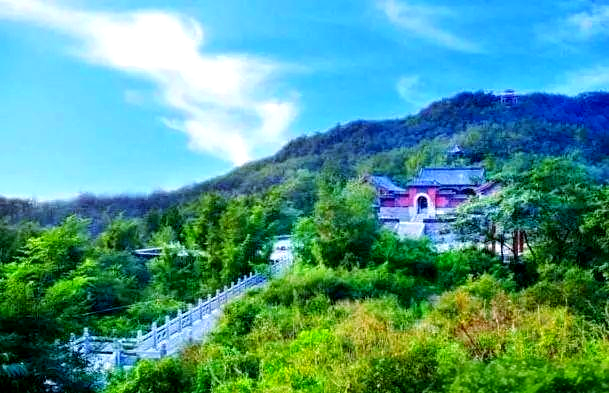 博山莲花山盛装开幕,探索自然与动物的和谐世界
