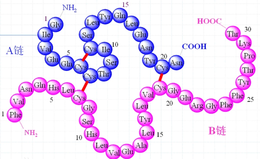 多肽嫁接不同化学键如二硫键/腙键