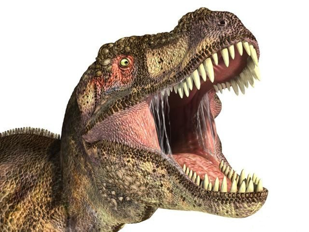 科学家通过研究认为,霸王龙很可能跑不过人类?我们高估它了吗?