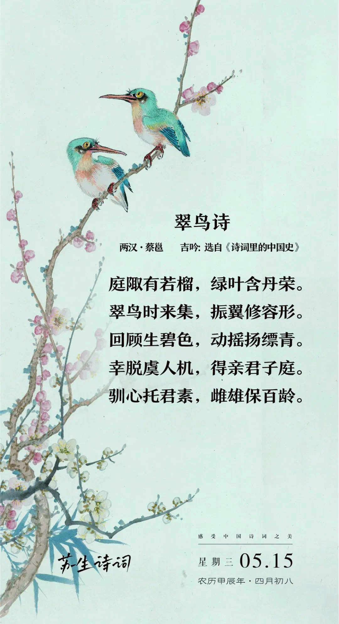 诗词日历丨翠鸟诗:心托君子,雌雄共度百岁