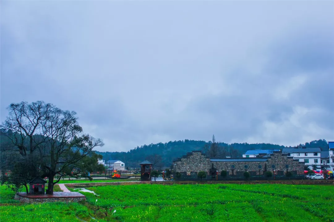 「美麗中國·鄉約江西」踏茶馬古道,遊鷹潭