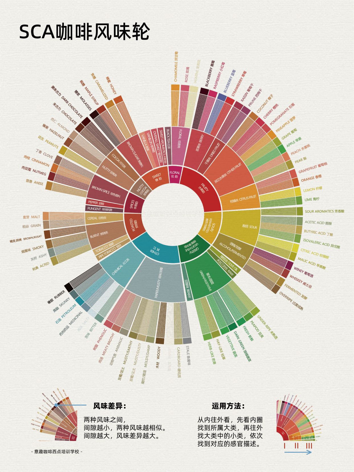 咖啡知识|咖啡小白如何看懂咖啡风味轮
