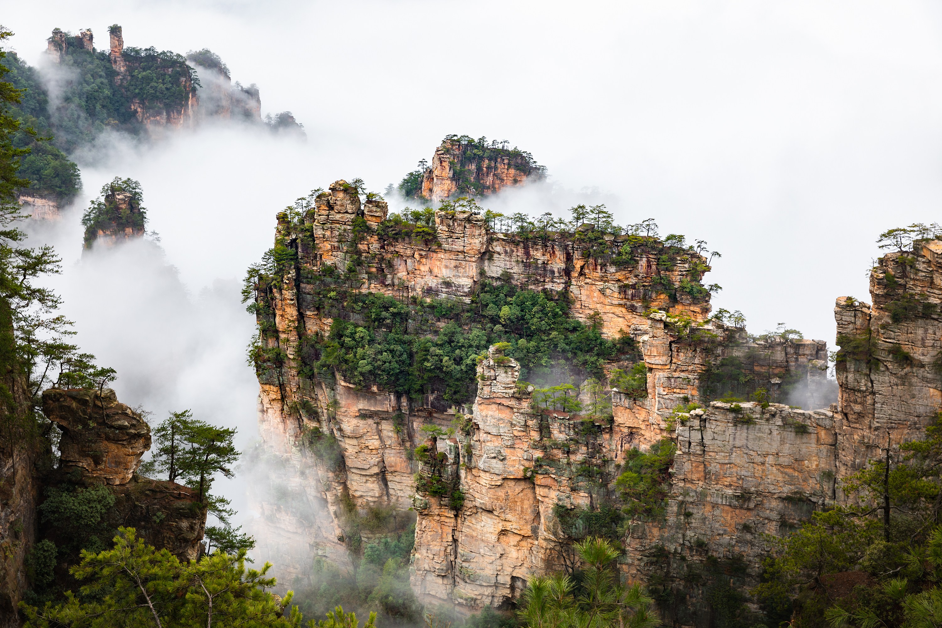 张家界杨家界景区图片图片