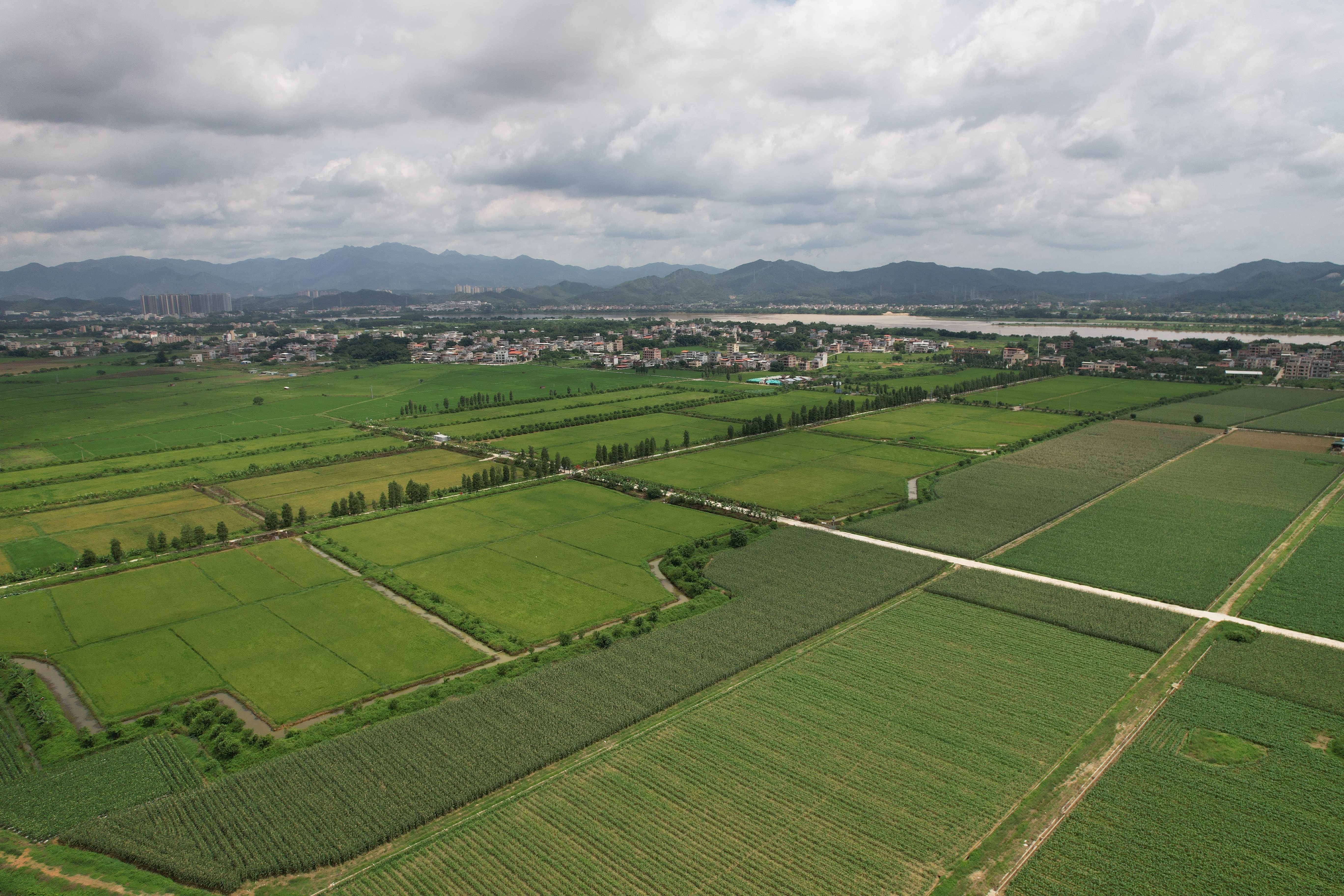 止减回增逾3000亩,惠州牢牢守住耕地保护红线
