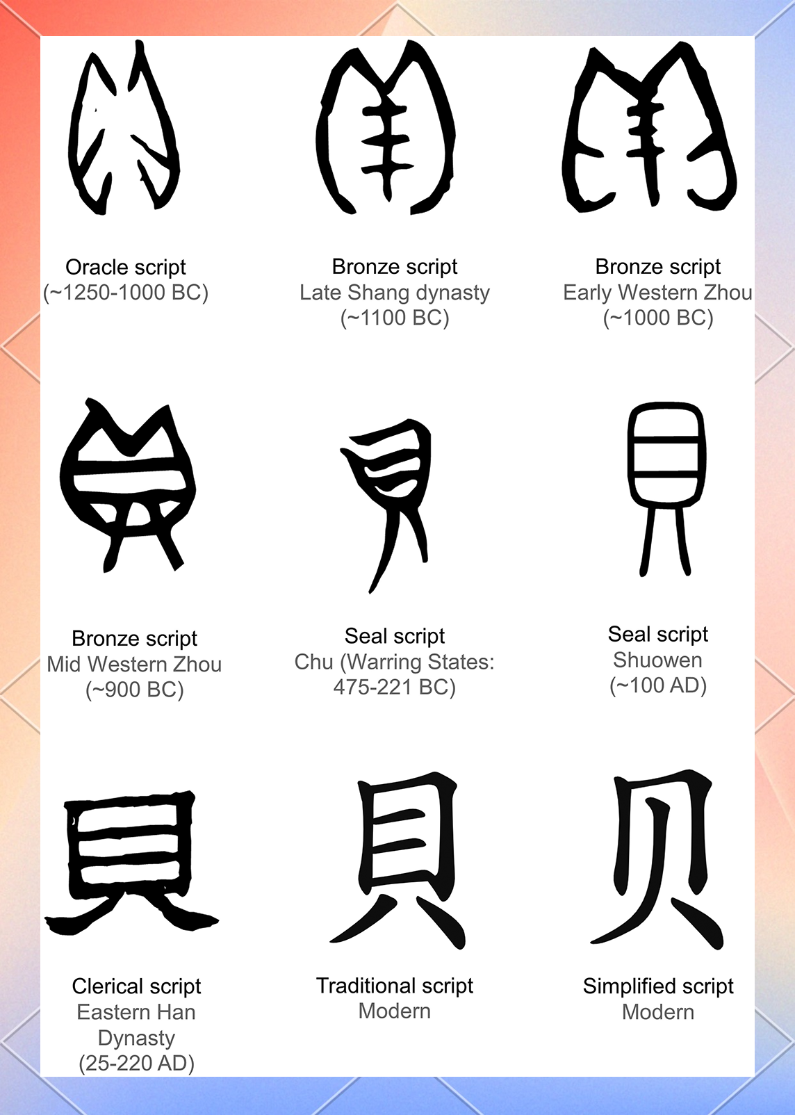 古代用贝壳做货币的探索:能否让我们穿越时空成为富翁?