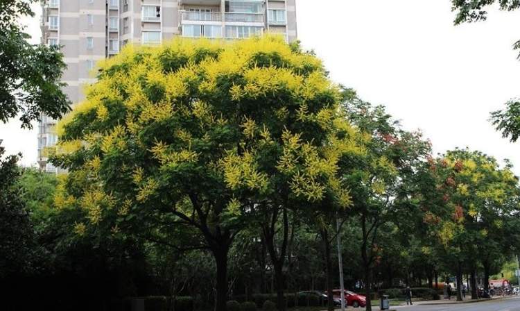 大柏树地铁站图片