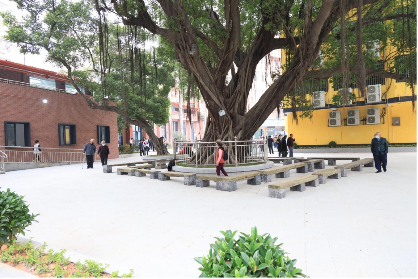 广州市白云湖街夏茅文化活动中心竣工并投入使用