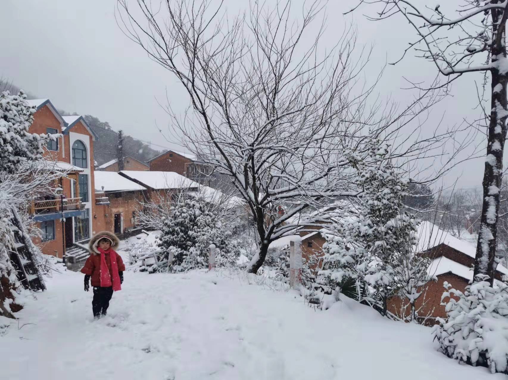 甘肃农村雪景图片图片