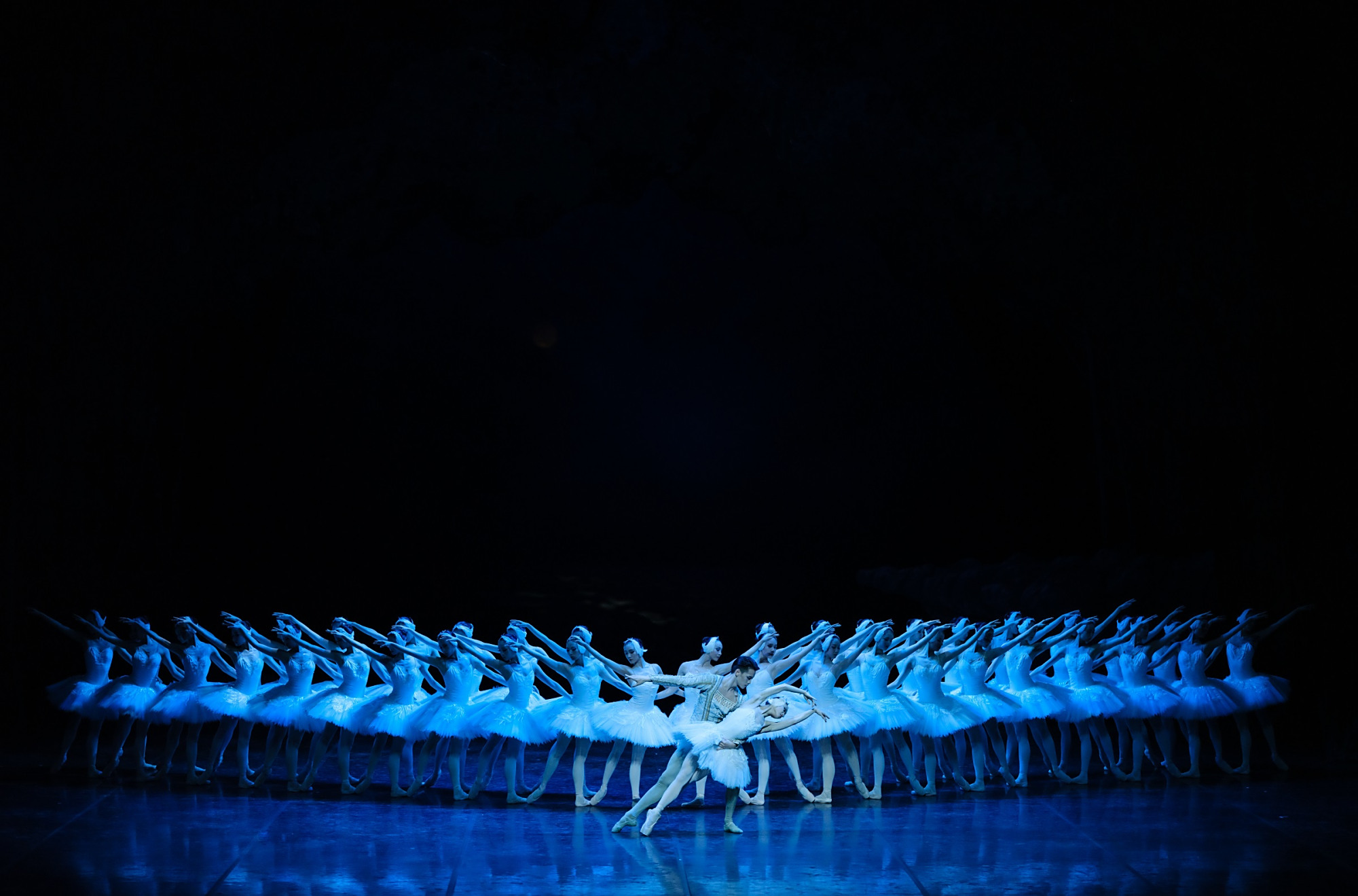 《天鹅湖》剧照