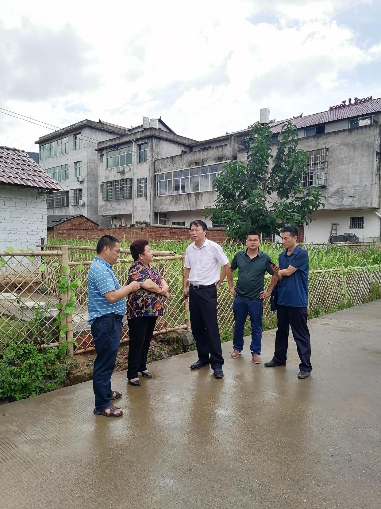 唐慧云调研督导粮食生产,农村人居环境整治和农民丰收节筹备工作