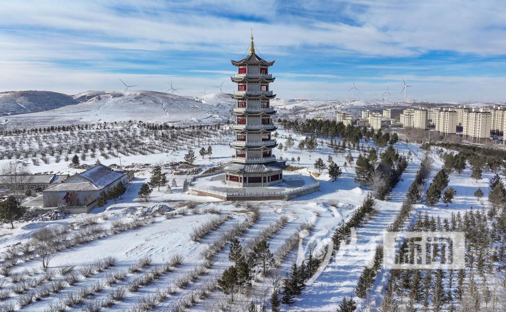 冬至雪景 美不胜收