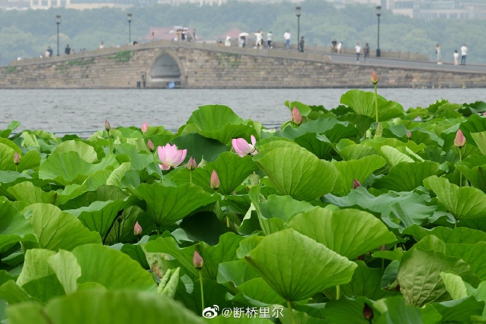 關注降水和高溫 高考期間杭州天氣預報來了