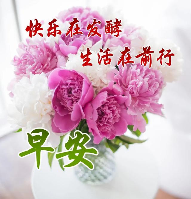 今天最新版早上好动态图片 最新版漂亮早安动态图片大全