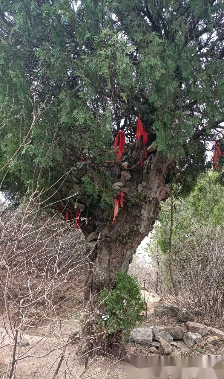 莱芜有座望夫山