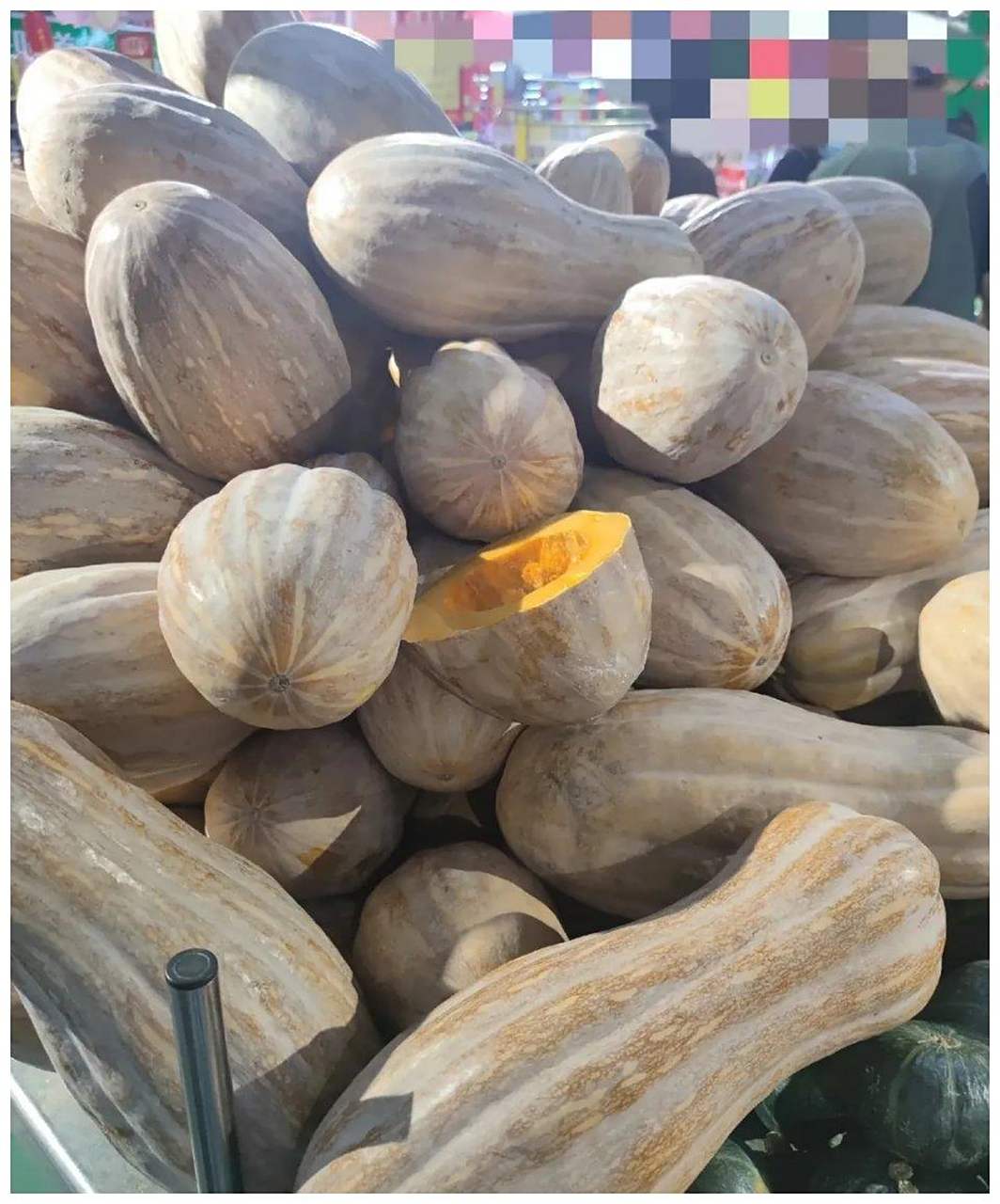 这种外形奇特的瓜,居然叫方瓜