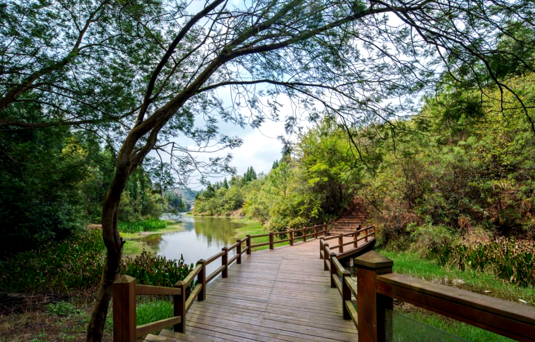 玉龙湾公园:都市边缘的绿色氧吧