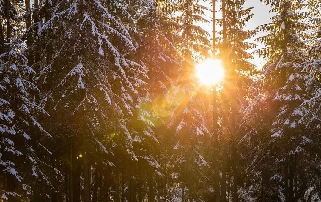 辽宁之声 24节气|小寒
