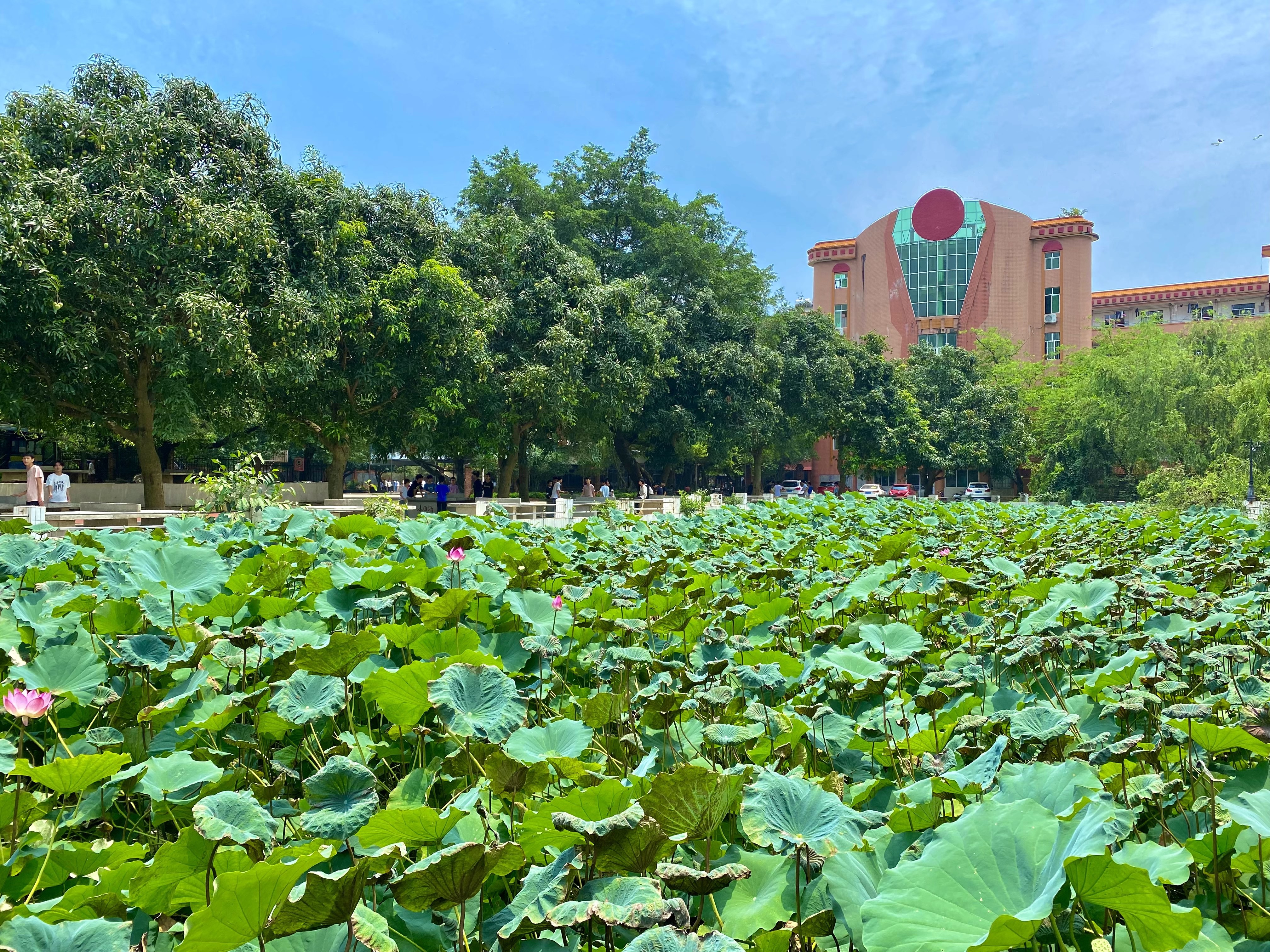 迎接新朝阳 一起向未来 平南县朝阳高级中学简介
