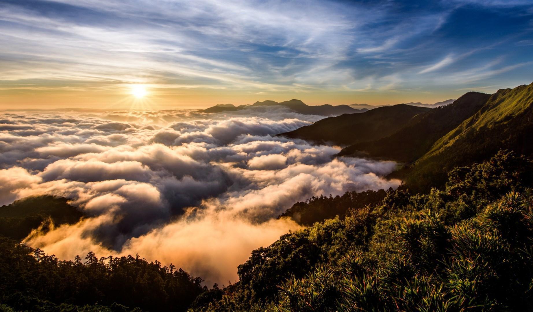 跨过山河大海图片