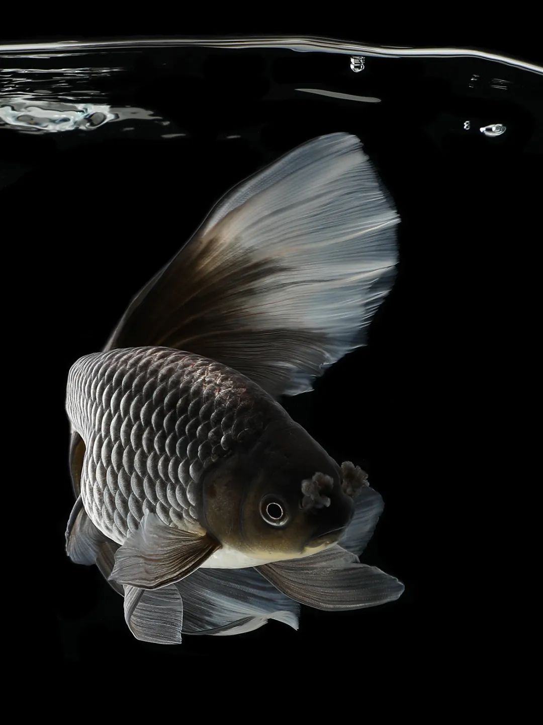 1080_1440竖版 竖屏