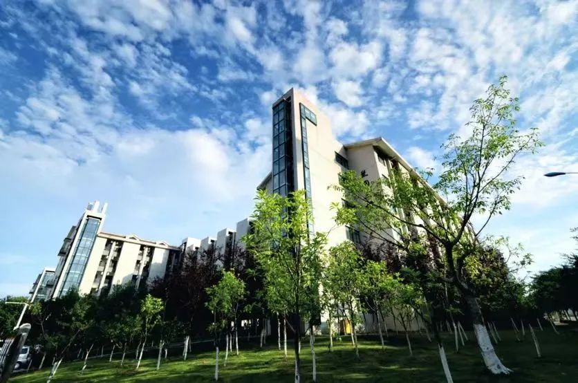 重庆大学后门沙杨路图片