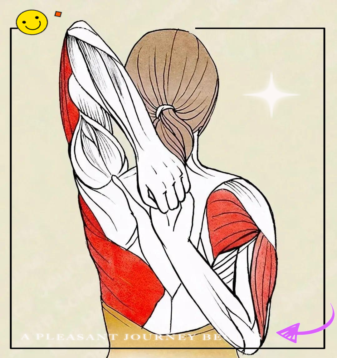 精准瑜伽体式拉伸指南,让你的练习更有效