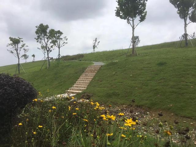 武汉印象之二妃山