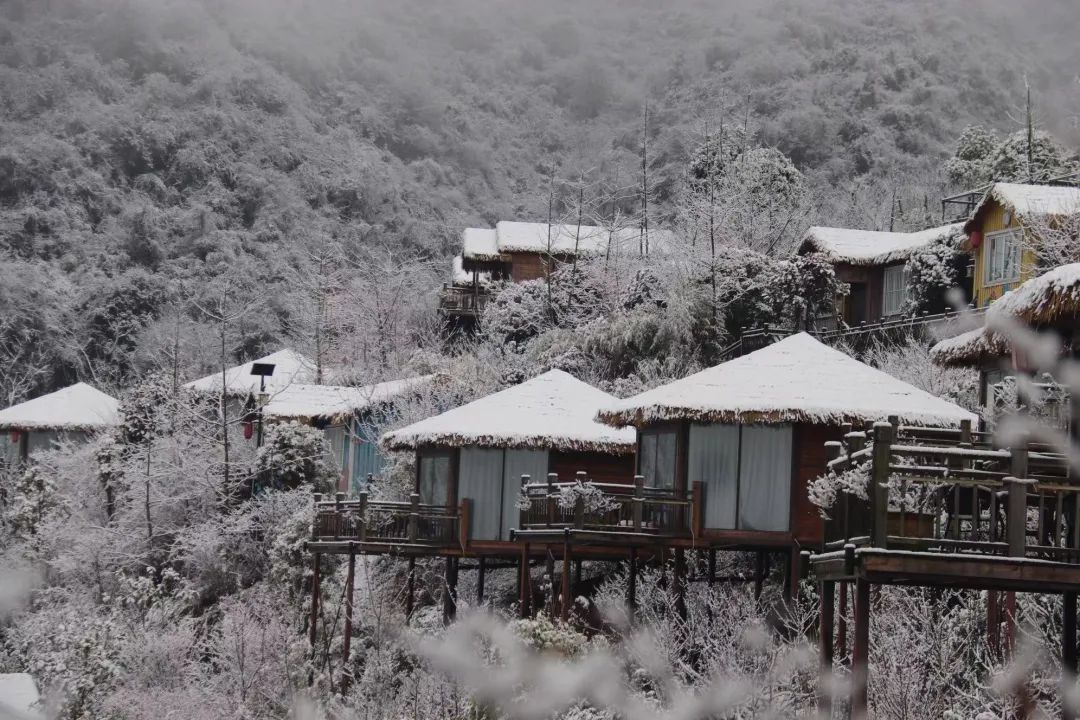 住民宿,賞雪景,品美食,桐梓開元芳草地等你來!