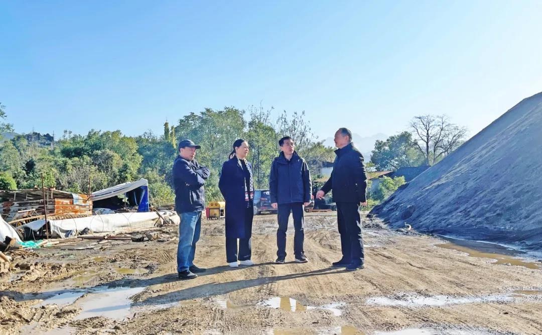 蒋业君到灌阳镇调研灌平高速项目建设工作