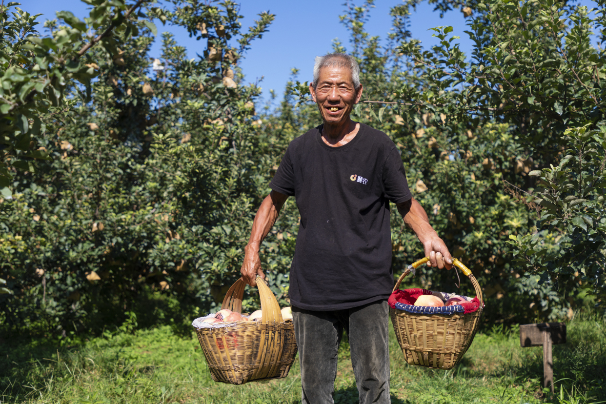 笑脸,是丰收季里最动人的表情