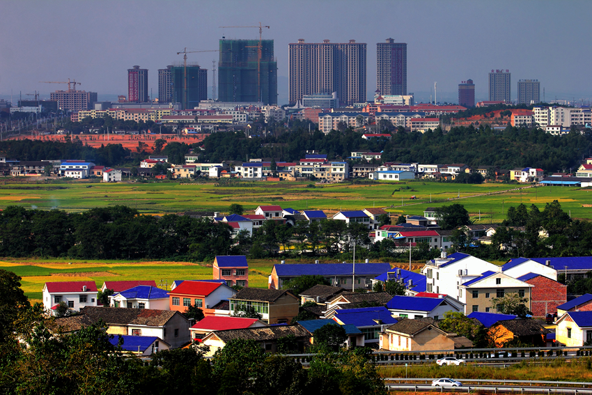 洞阳镇:"幕后英雄"也有大成就