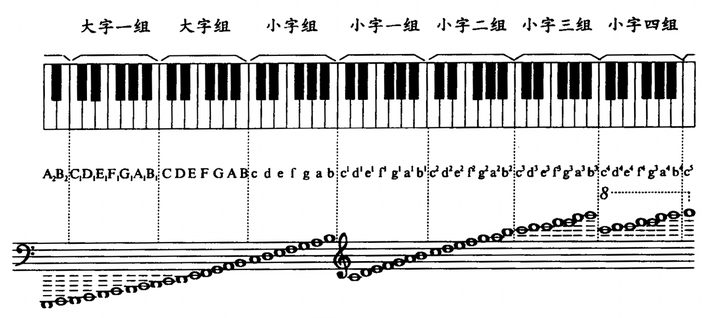 高音木琴音域图片