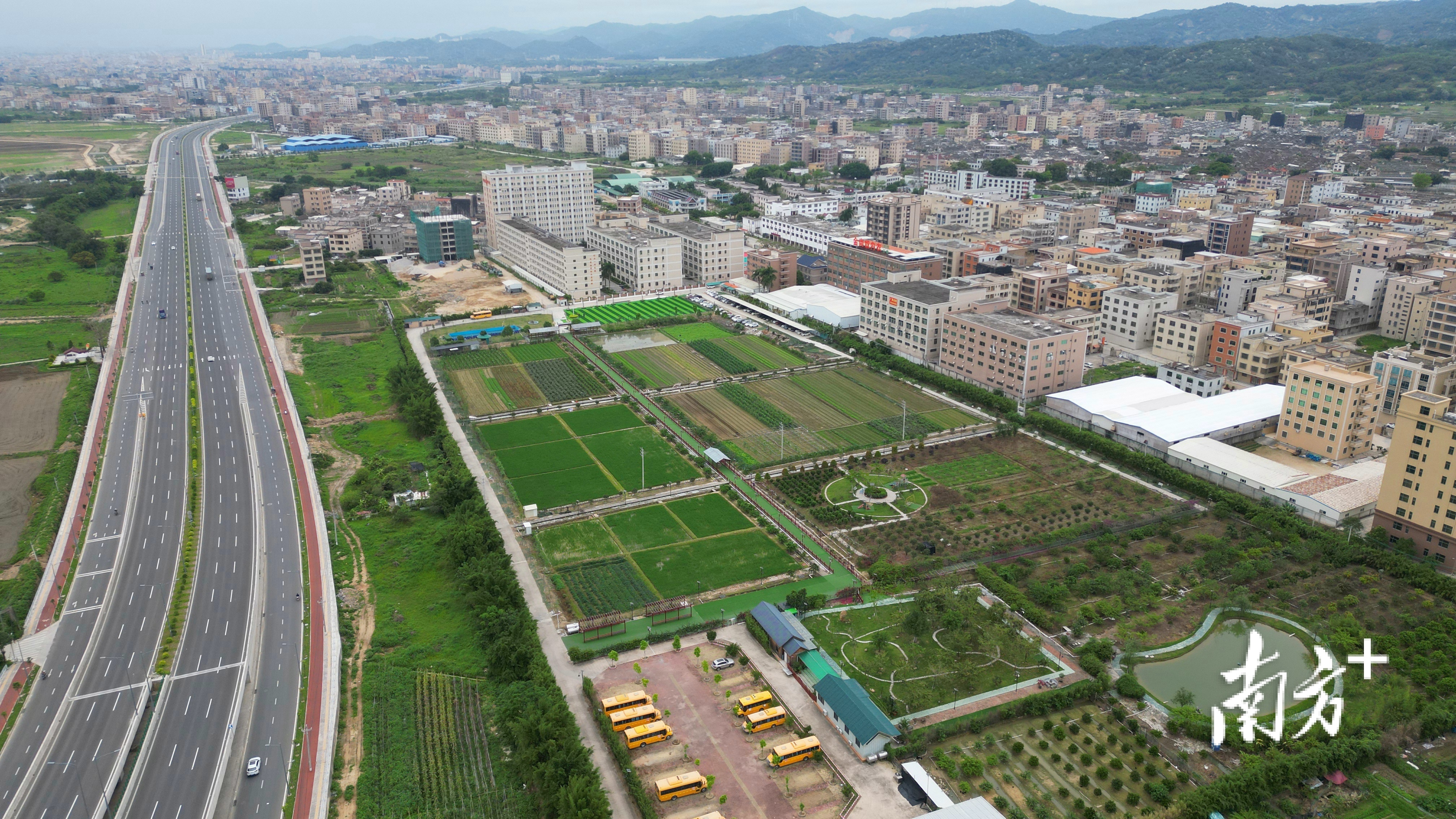 潮南区仙城镇:荒地披绿 仙城觅仙|竞跑"百千万" 再造"镇能量"④