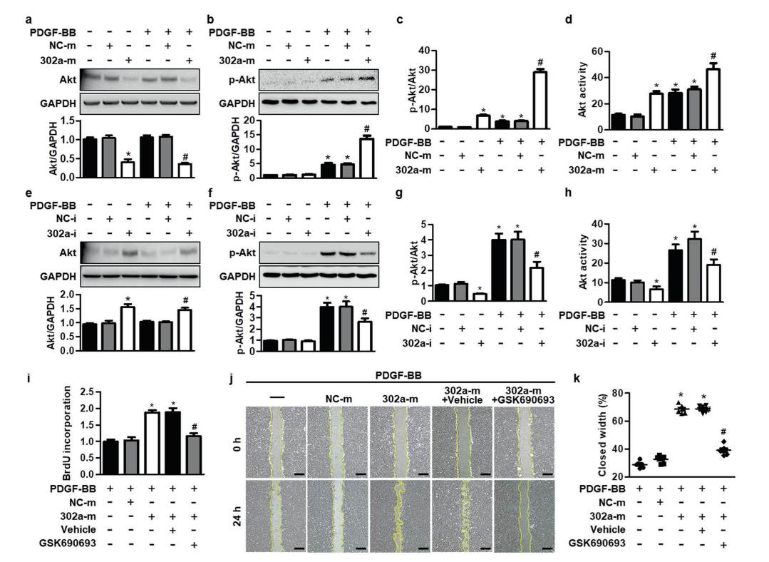 mir-302a参与akt通路介导的血管平滑肌细胞增殖和再狭窄!