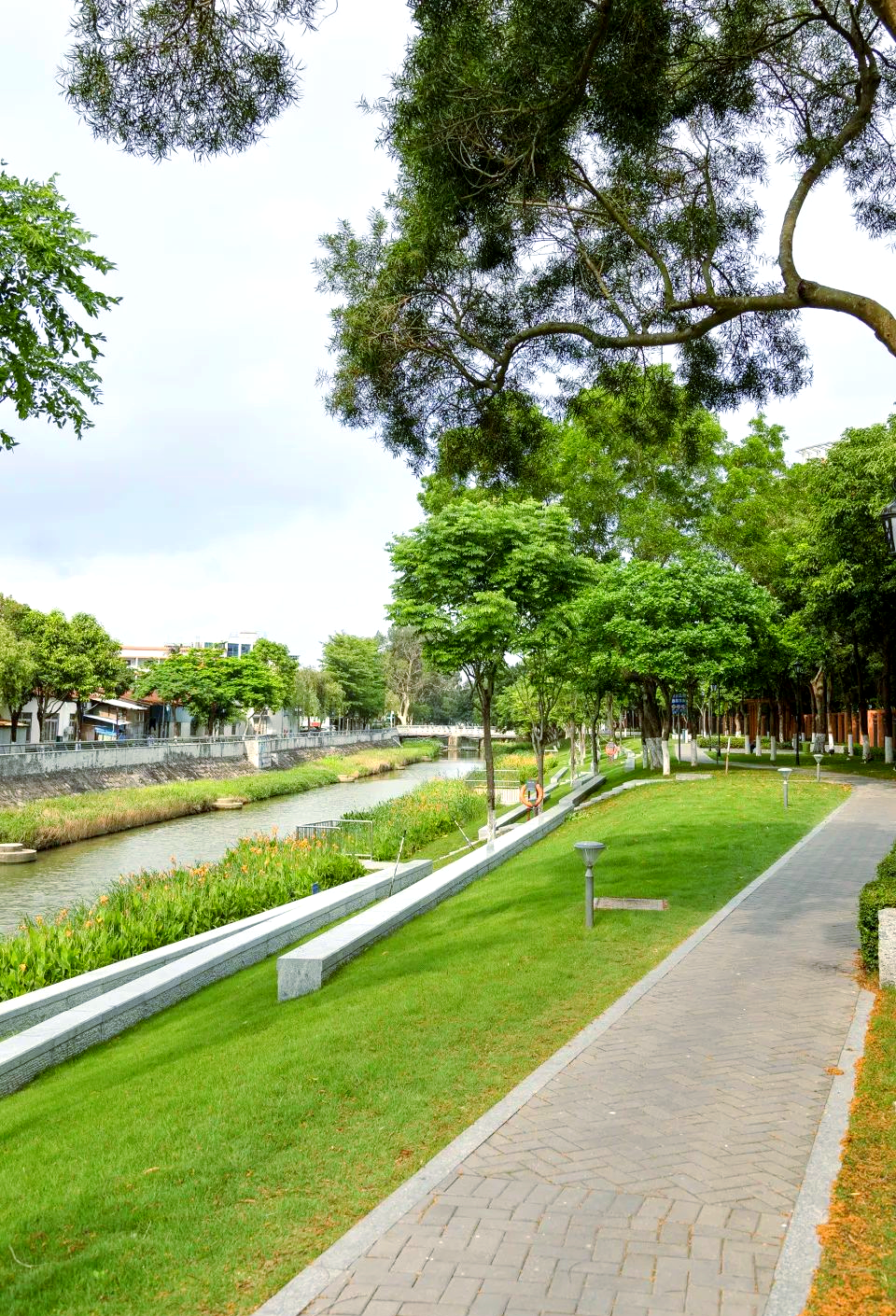 珠海高新区通过碧道建设实现城市绿色升级