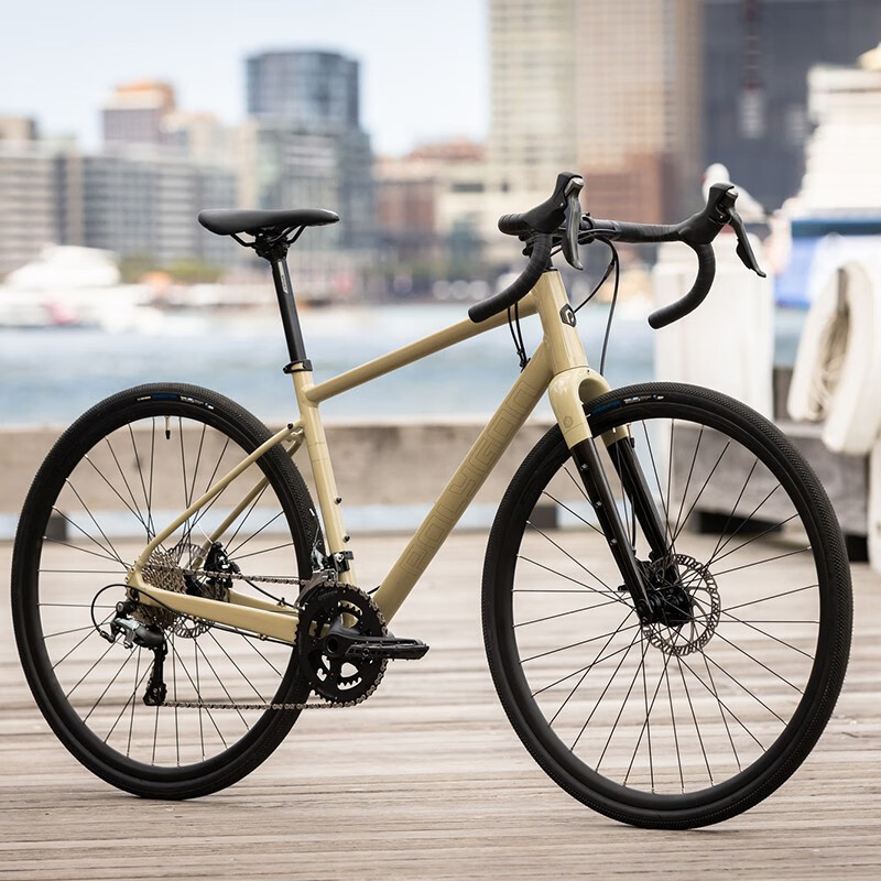 有什么平价的砾石公路车推荐吗?