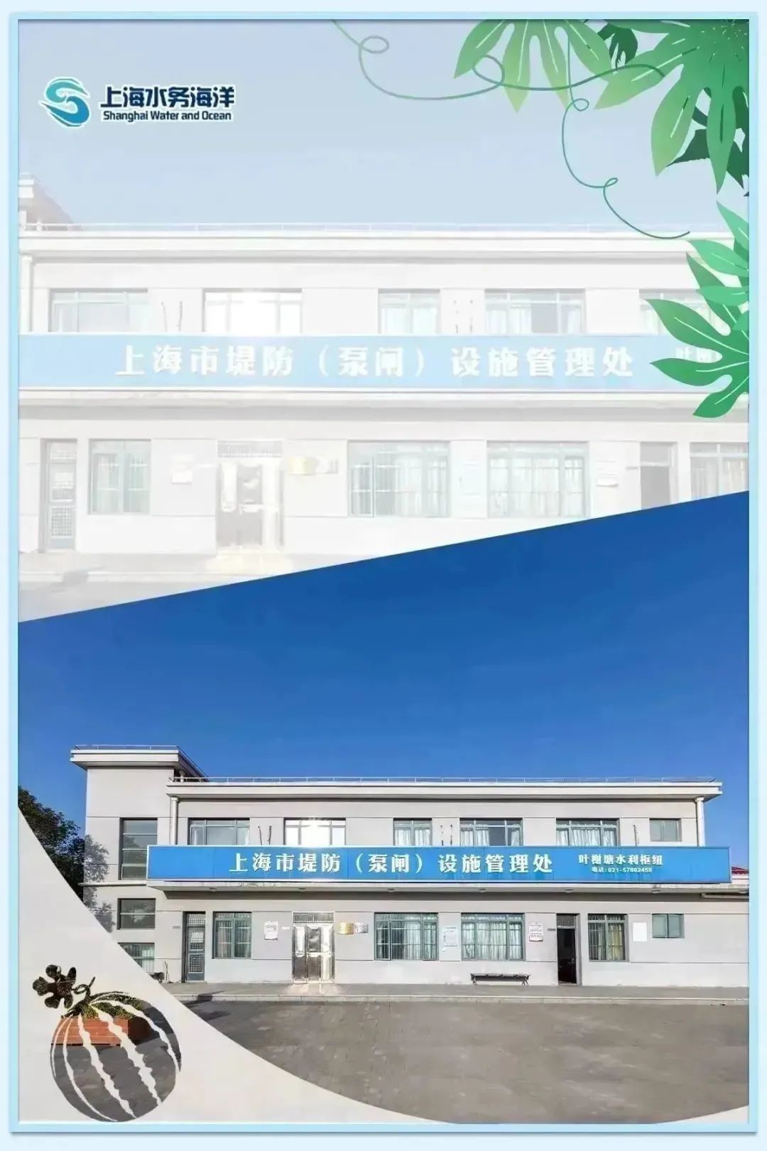 水韵61节气|暑盛至极 顺颂夏祺