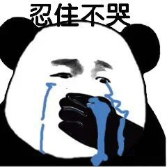 240_240gif 动态图 动图
