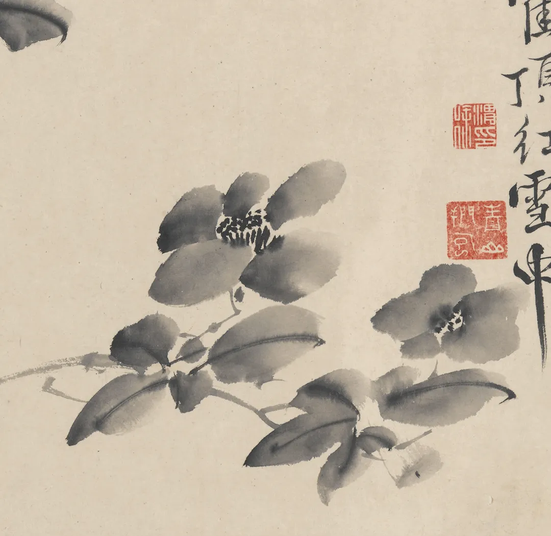 欣赏徐渭的十二墨花图,感受其艺术魅力