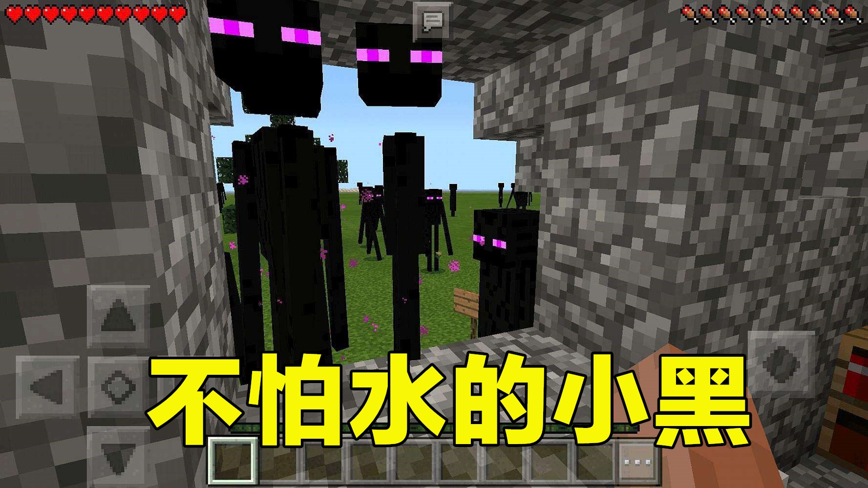 我的世界:当"末影人"小黑变成小白,我觉得这个设定,很有趣味性