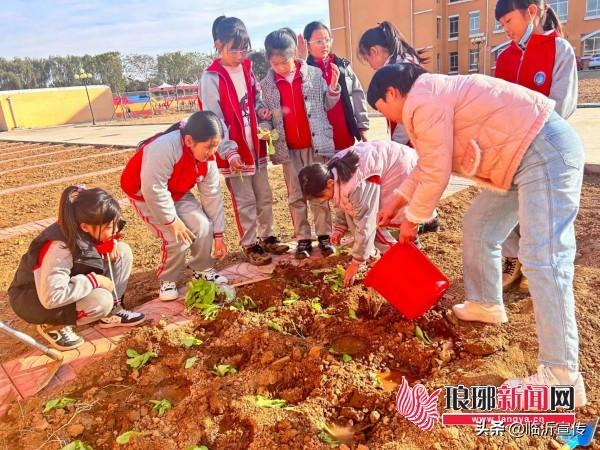 蒙阴八一希望小学图片