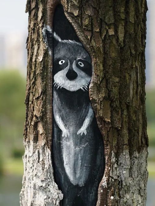 高萌预警!最近逛公园留心大树,有小动物出没!