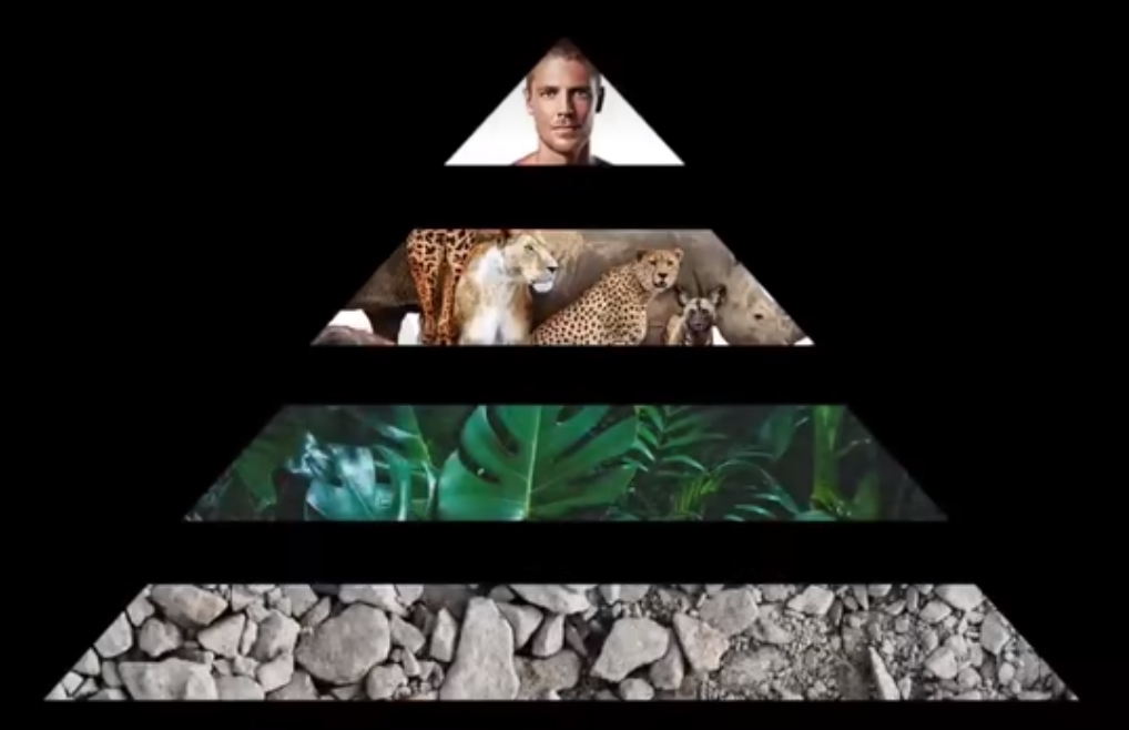 揭秘金星人的欧米娜预言