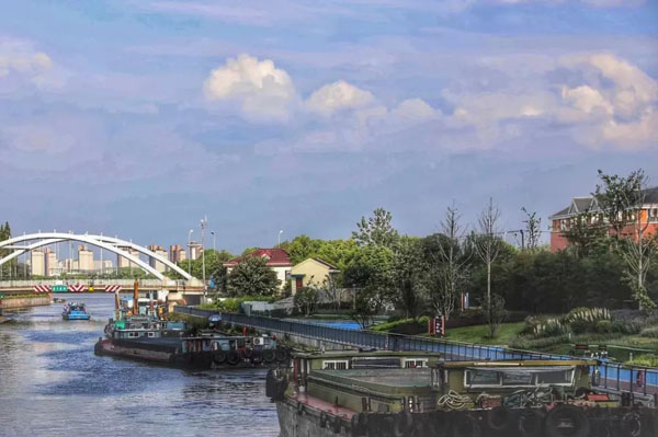 河畅,水净,岸绿,景美……徐汇区华泾镇家门口的河道微波粼粼!