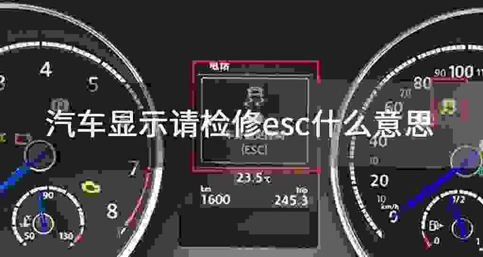 请检查esc系统是什么意思?