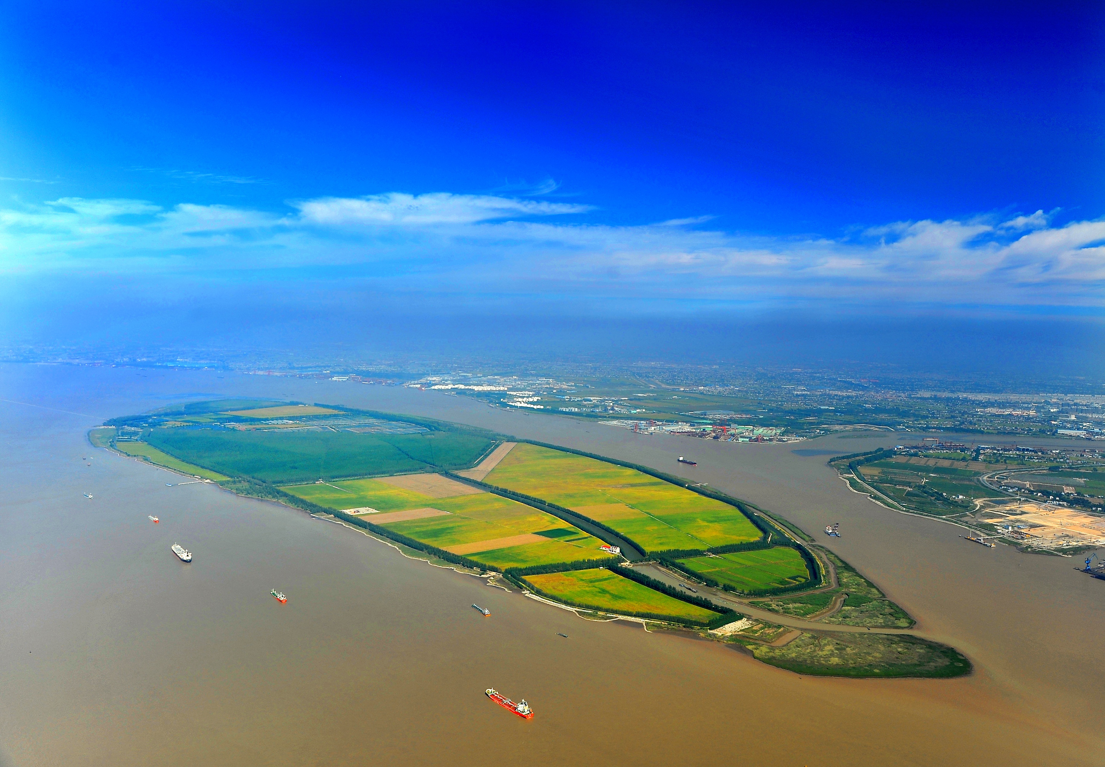 靖江用心守护百鸟迁飞驿站 马洲岛湿地首次观测发现全球极危物种黄胸
