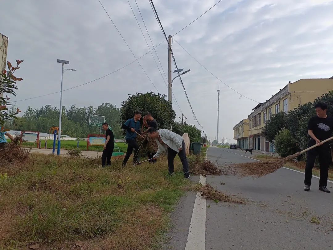 平桥区五里镇:全员齐上阵 擦亮乡村"底色"