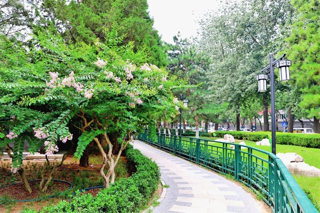 红墙庄严,花草馨香!北京皇城根遗址公园"美颜"升级