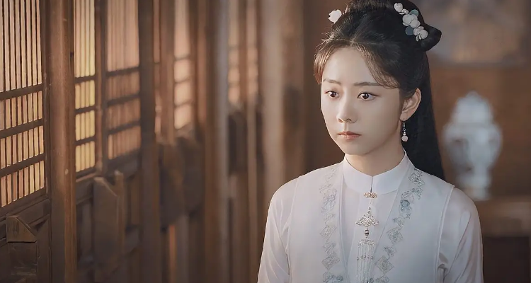 十一娘是什么电视剧